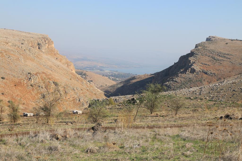 Switzerland In The Arbel Casa de hóspedes Quarto foto